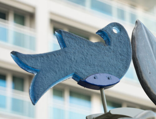 HSB De Vijverhof opnieuw erkend met PREZO-keurmerk: hoge score op alle onderdelen