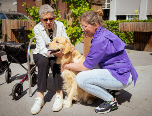 Een tuin die tot leven komt: nu ook in beeld